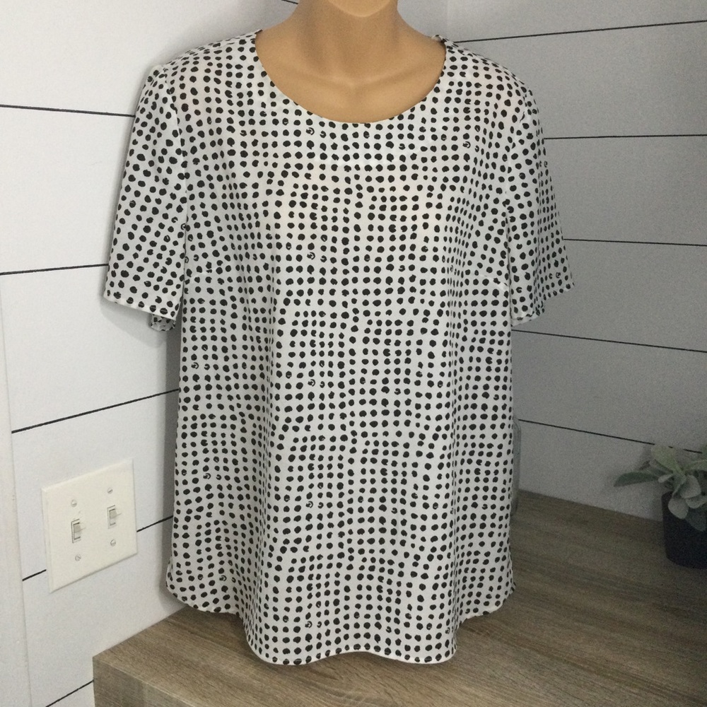 Daniel Rainn blouse womens Large polka dot print‎